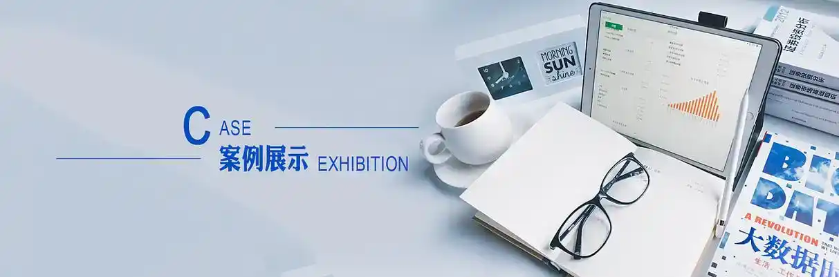 阜康市软件开发